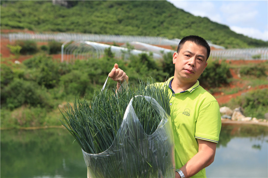 贵州蔬菜基地05